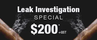 Leak Investigation Discount Waimahia Landing